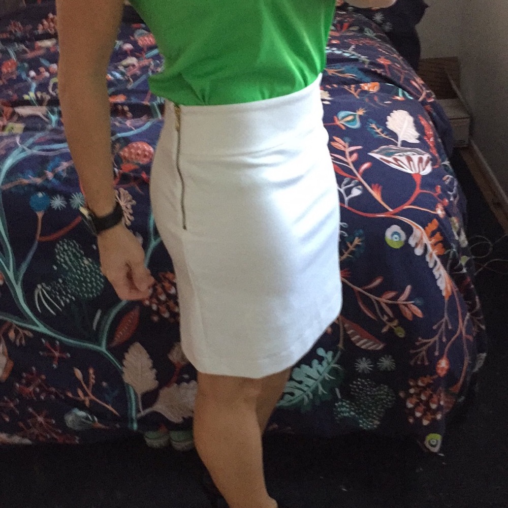 Banana republic skirt